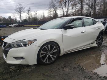  Salvage Nissan Maxima