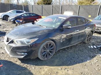  Salvage Nissan Maxima