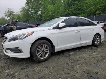  Salvage Hyundai SONATA