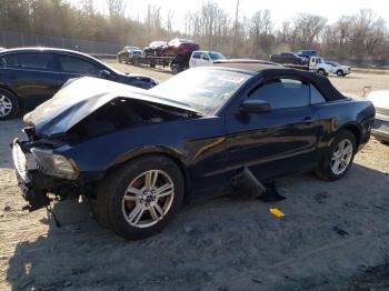  Salvage Ford Mustang
