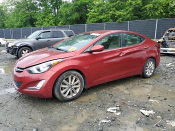  Salvage Hyundai ELANTRA