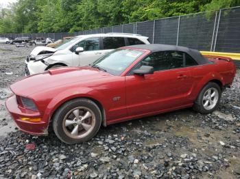  Salvage Ford Mustang