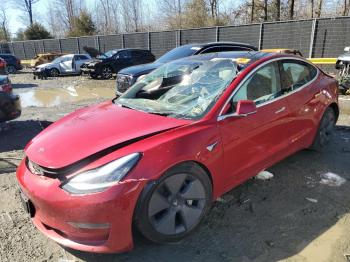  Salvage Tesla Model 3
