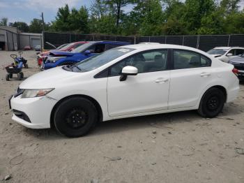  Salvage Honda Civic