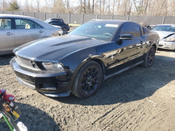  Salvage Ford Mustang