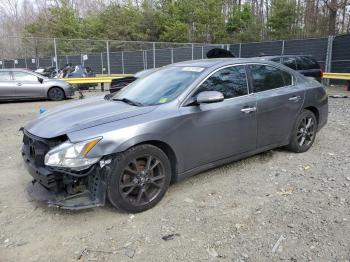  Salvage Nissan Maxima