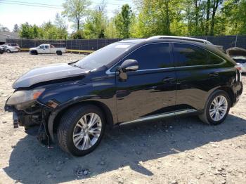  Salvage Lexus RX