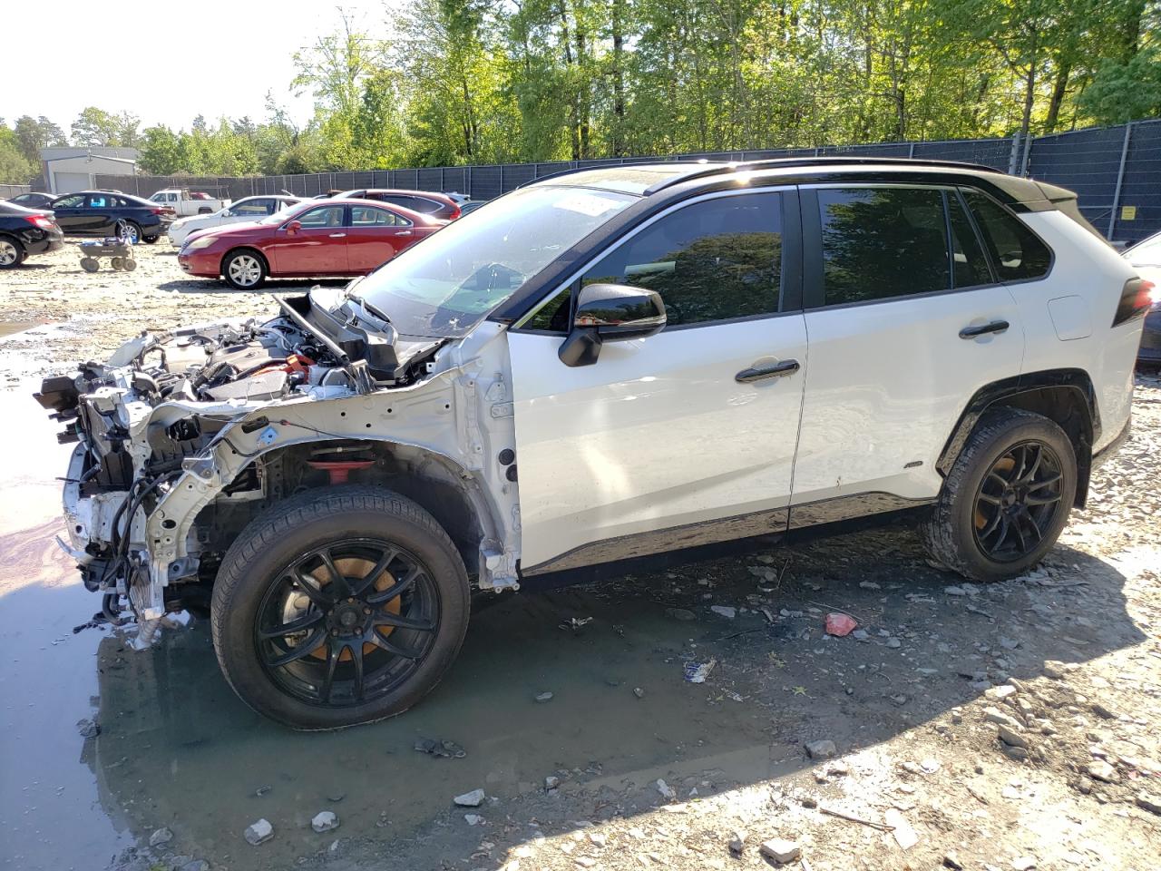 Toyota RAV4 Xse Image 1