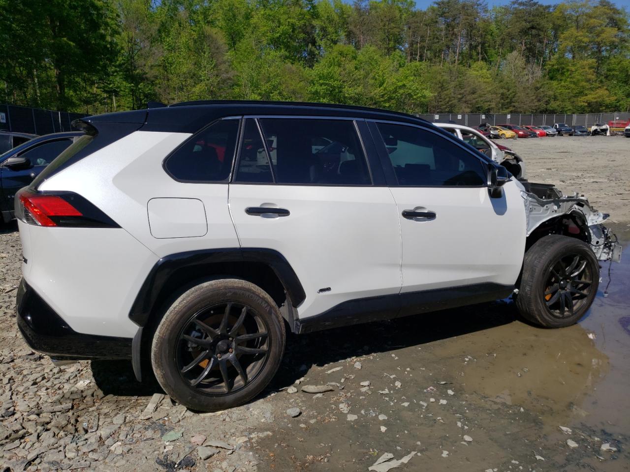 Toyota RAV4 Xse Image 13