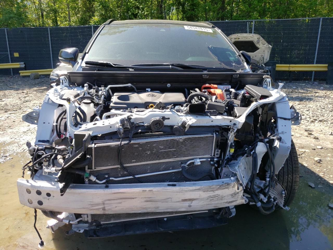 Toyota RAV4 Xse Image 5