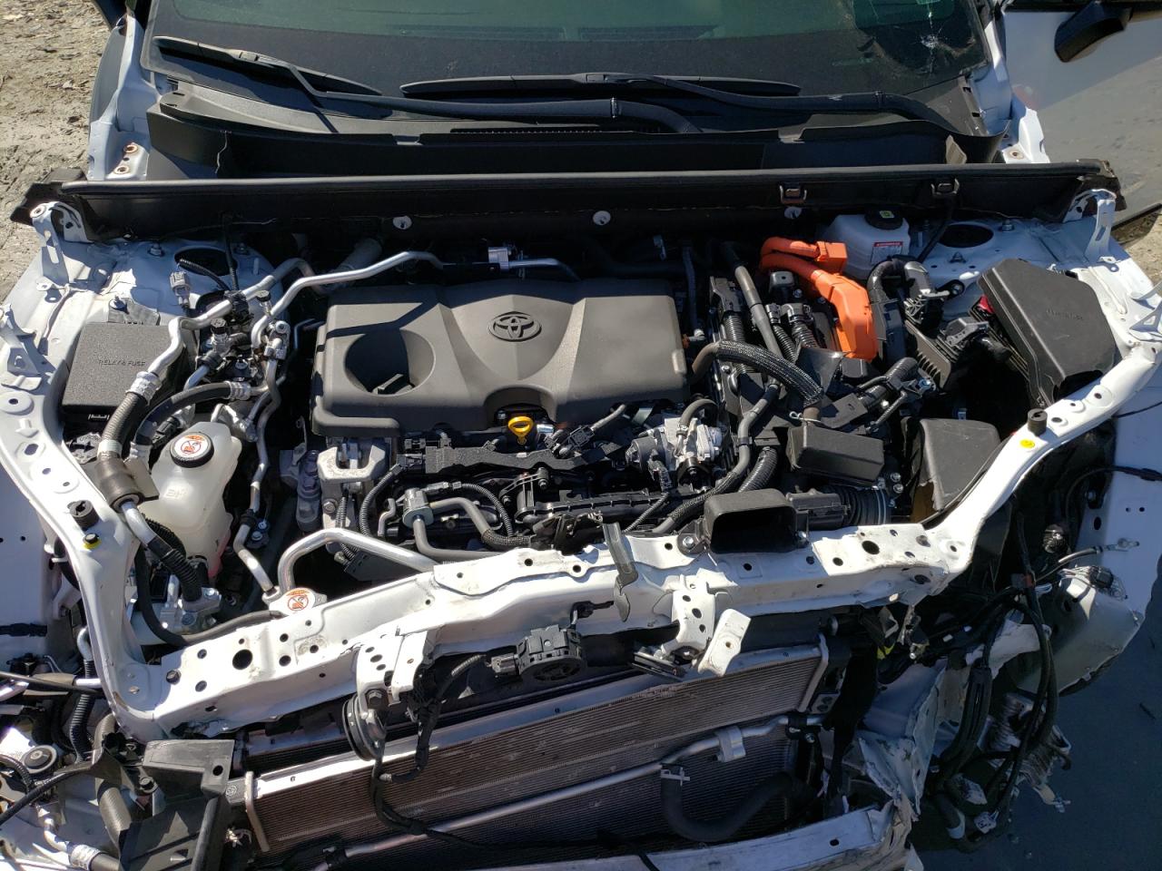 Toyota RAV4 Xse Image 11