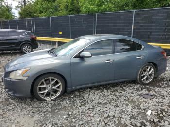  Salvage Nissan Maxima