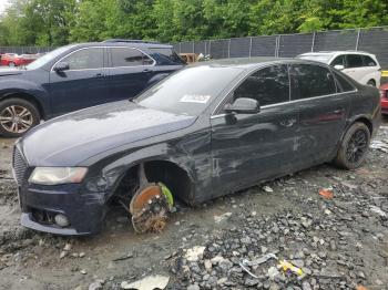  Salvage Audi A4