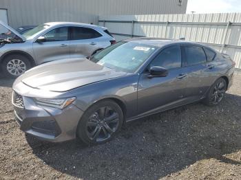 Salvage Acura TLX