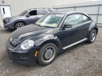  Salvage Volkswagen Beetle