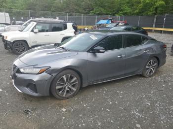  Salvage Nissan Maxima