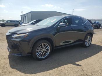  Salvage Lexus NX