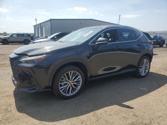  Salvage Lexus NX