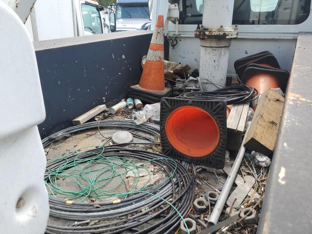 International Terrastar Image 10