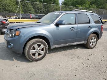  Salvage Ford Escape