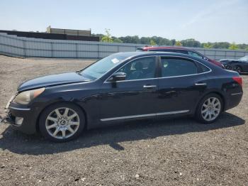  Salvage Hyundai Equus