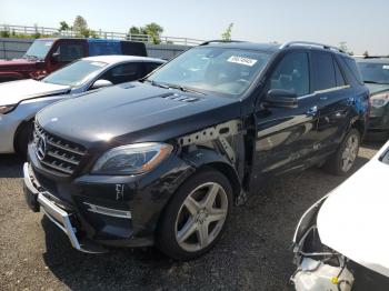  Salvage Mercedes-Benz M-Class