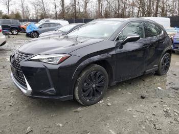  Salvage Lexus Ux