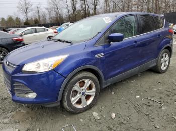  Salvage Ford Escape