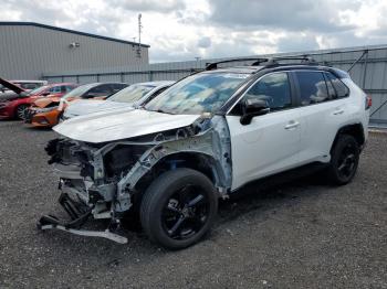  Salvage Toyota RAV4