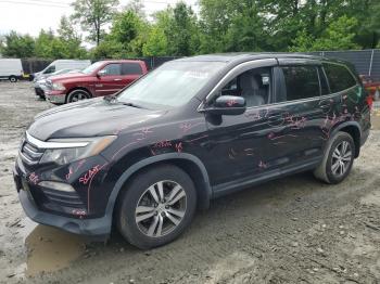  Salvage Honda Pilot