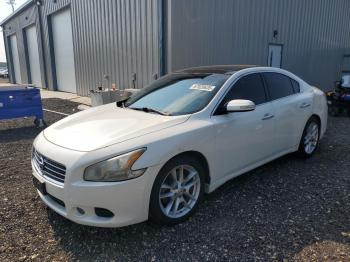 Salvage Nissan Maxima