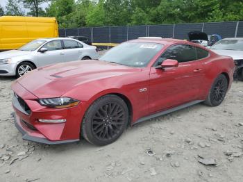  Salvage Ford Mustang