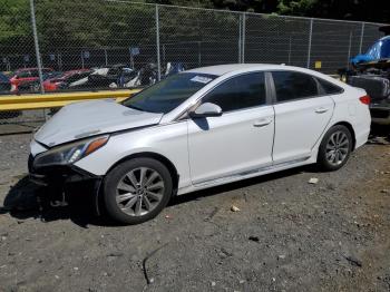  Salvage Hyundai SONATA