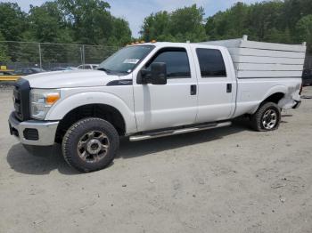  Salvage Ford F-250