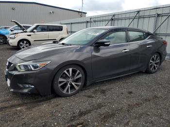  Salvage Nissan Maxima