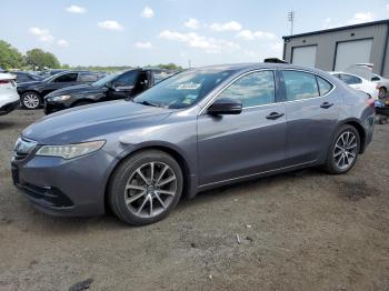  Salvage Acura TLX
