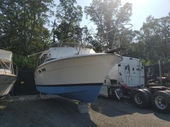  Salvage Trojan Boat