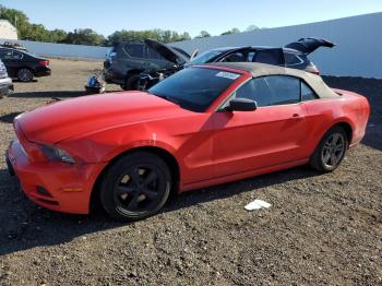  Salvage Ford Mustang