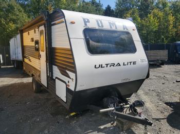  Salvage Wildwood Palomino