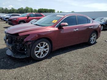  Salvage Nissan Maxima