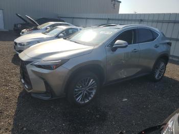  Salvage Lexus NX