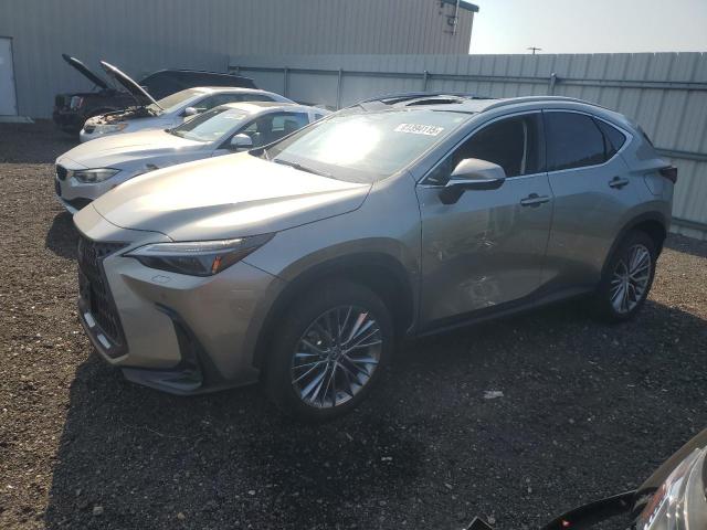  Salvage Lexus NX