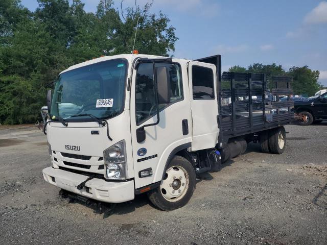  Salvage Isuzu Nqr