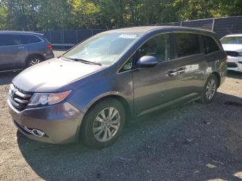  Salvage Honda Odyssey