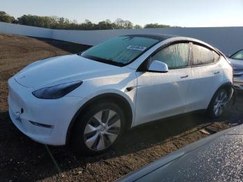  Salvage Tesla Model Y