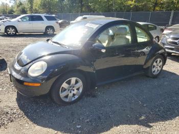  Salvage Volkswagen Beetle