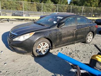  Salvage Hyundai SONATA