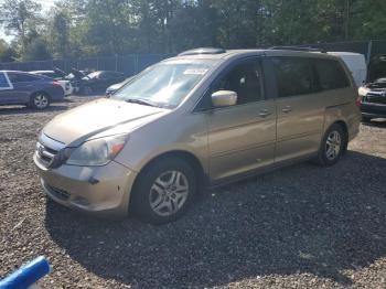  Salvage Honda Odyssey