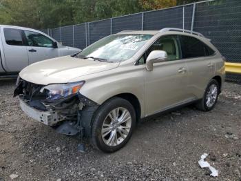  Salvage Lexus RX