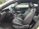 Ford Mustang Gt Image 7